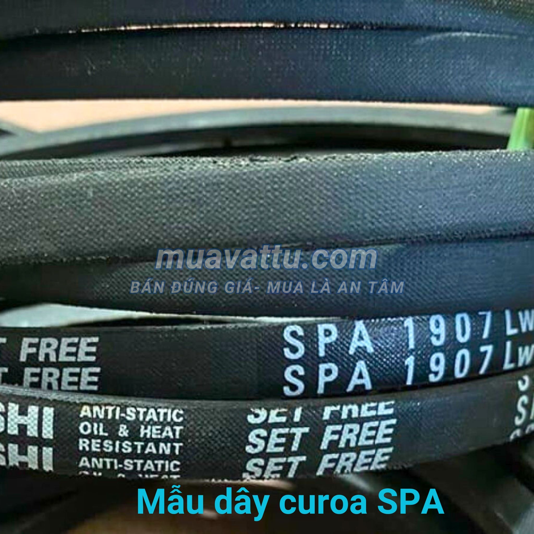  Dây curoa SPA 1982 