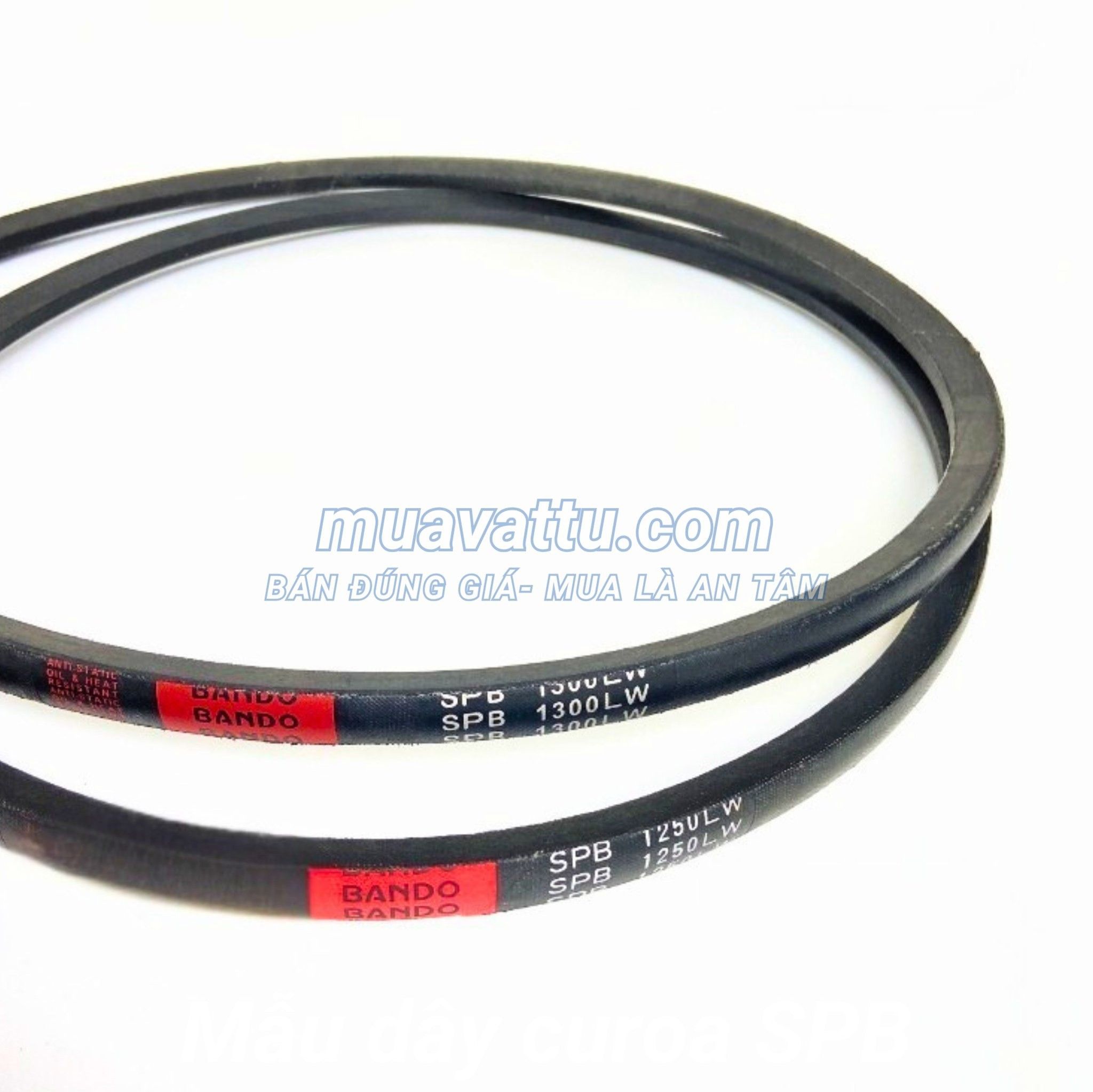  Dây curoa SPB 1250 
