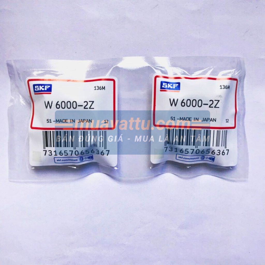 Vòng bi 6000