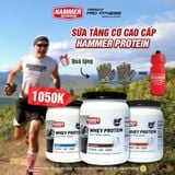  Sữa Whey Protein Hammer Nutrition 24 serving - Whey Isolate duy trì và phục hồi cơ nhanh chóng 