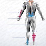  Băng Dán Thể Thao Giữ Cơ WRELS Hỗ Trợ Phục Hồi Cao Cấp 