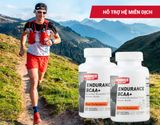  Viên Uống Tăng Sức Bền Hammer Nutrition Endurance BCAA+(120 viên) 