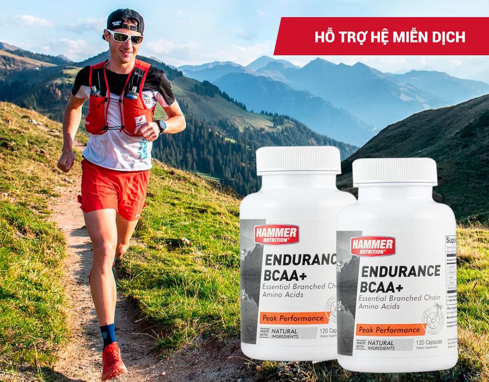  Viên Uống Tăng Sức Bền Hammer Nutrition Endurance BCAA+(120 viên) 