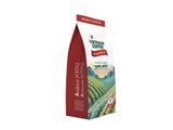  CÀ PHÊ HẠT RANG HẠNG NHẤT ARABICA 