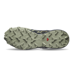 Giày Thể Thao Trail Running Nam Salomon Shoes Speedcross 6 Gtx Grisaille/Carbon/Tea L47465500