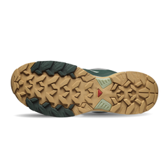 Giày Hiking Nam Salomon ShoesX Ultra 360 EDGE GTX L47816700