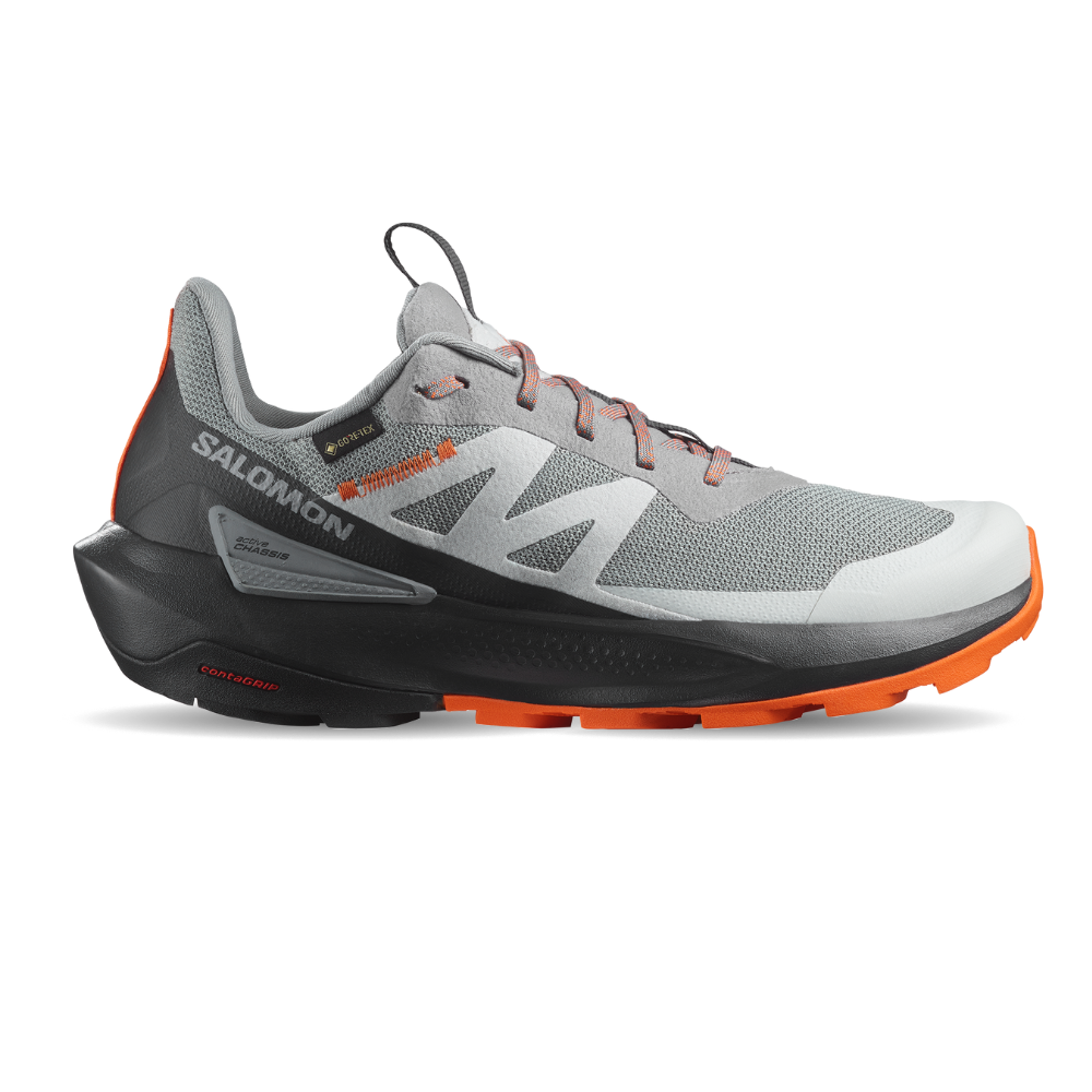 Giày Thể Thao Trail Running Nam Salomon Elixer Activ GTX L47456200