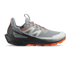 Giày Thể Thao Trail Running Nam Salomon Elixer Activ GTX L47456200