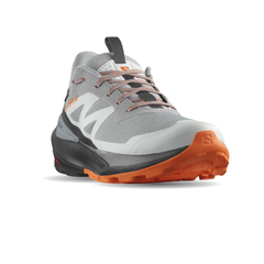 Giày Thể Thao Trail Running Nam Salomon Elixer Activ GTX L47456200