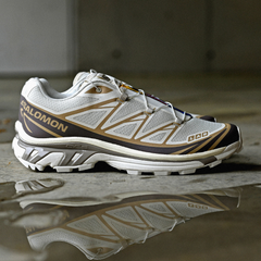 Giày Thể Thao Unisex Salomon XT-6 L47737700 Vanilla Ice/Iron/Etherea