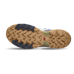 Giày Hiking Nam Salomon Shoes X Ultra 360 Edge Gtx Blue Brown L47463300