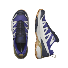Giày Hiking Nam Salomon Shoes X Ultra 360 Edge Gtx Blue Brown L47463300