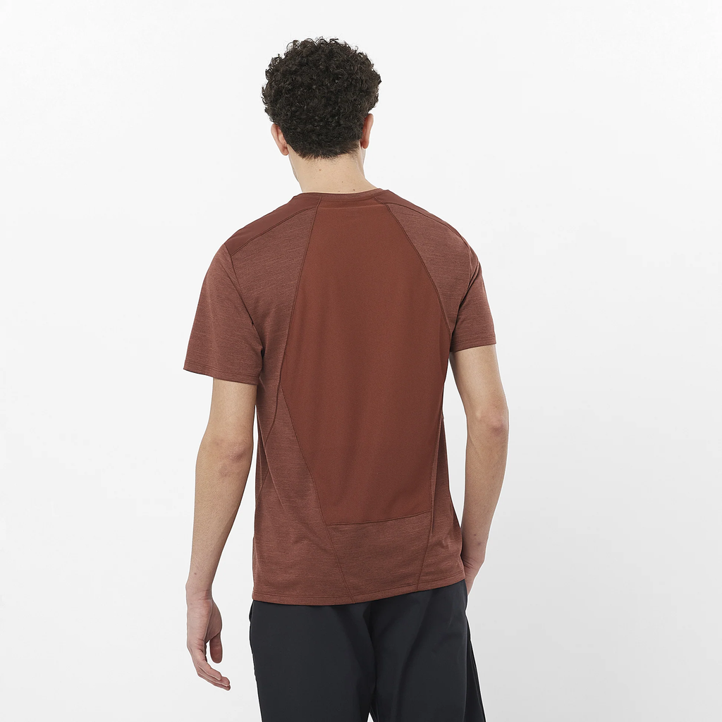 Áo Thể Thao Nam Salomon Outline Ss Tee M LC2277800 Rum Raisin