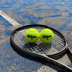 Set 12 Bóng Tennis Wilson Championship Extra Duty 3 Ball Can WRT100101