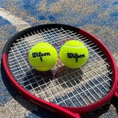 Set 12 Bóng Tennis Wilson Championship Extra Duty 3 Ball Can WRT100101