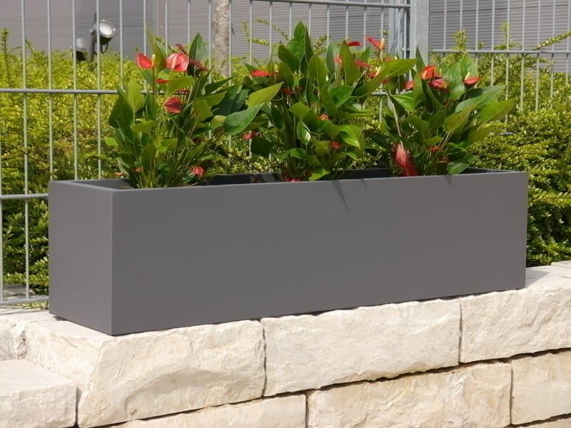 CHẬU CÂY CHỮ NHẬT