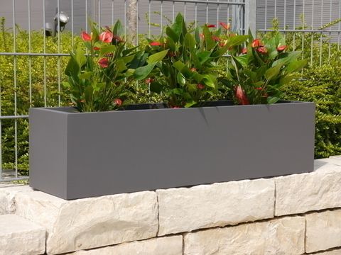  CHẬU CÂY CHỮ NHẬT 