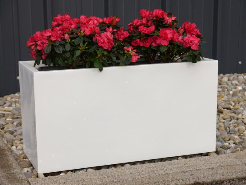 CHẬU CÂY CHỮ NHẬT