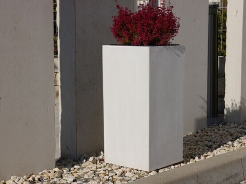  CHẬU CÂY TRỤ CAO 