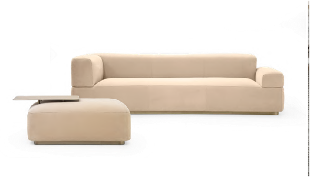 Ghế Sofa HZ.AM255