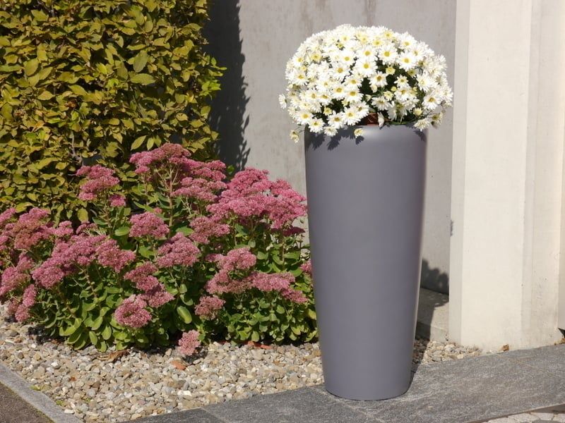 CHẬU CÂY TRỤ CAO