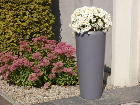  CHẬU CÂY TRỤ CAO 