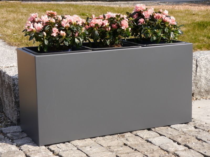 CHẬU CÂY CHỮ NHẬT