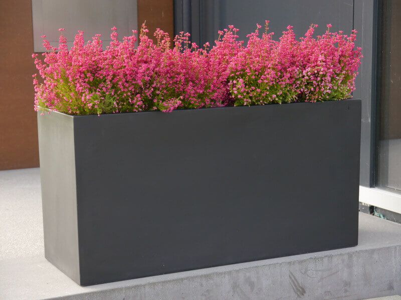 CHẬU CÂY CHỮ NHẬT