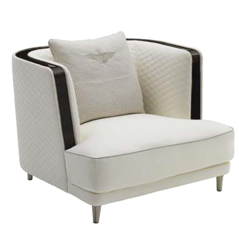 Ghế ARMCHAIR  HZ.BF25
