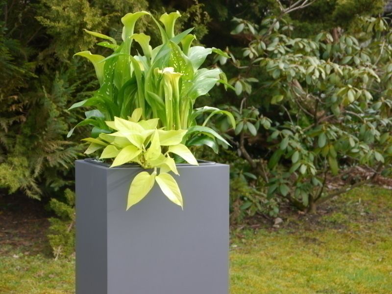 CHẬU CÂY TRỤ CAO