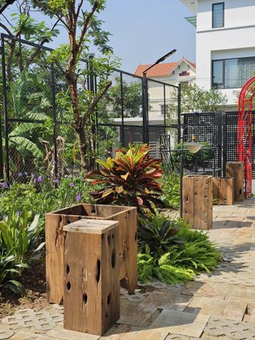  CHẬU CÂY GỖ TÀU THUYỀN 