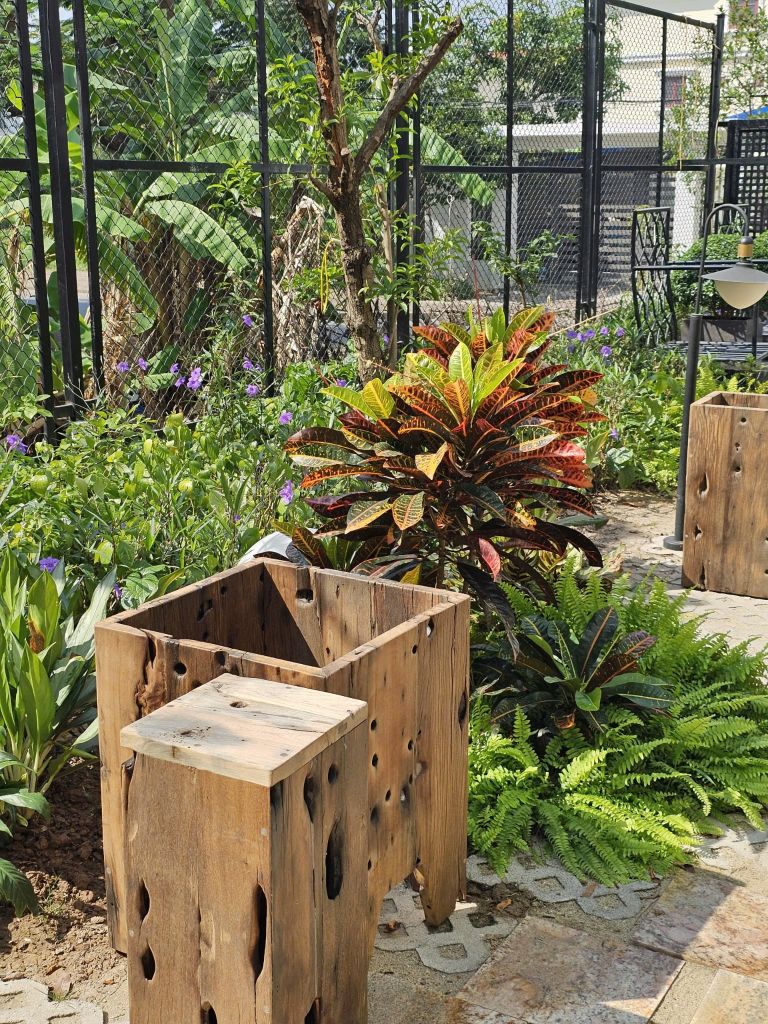 CHẬU CÂY GỖ TÀU THUYỀN