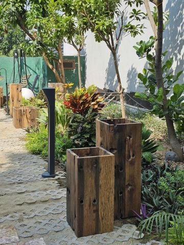  CHẬU CÂY GỖ TÀU THUYỀN 