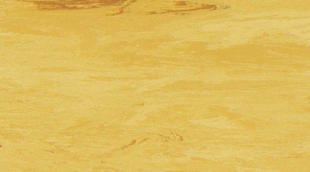  Sàn Vinyl Gerflor 2001 