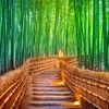 NHẬT BẢN - CUNG ĐƯỜNG VÀNG: Tokyo - Fuji - Nagoya - Kyoto - Osaka