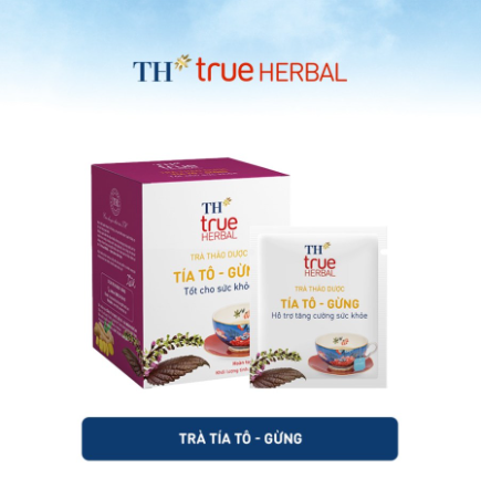  Trà Tía Tô-Gừng THtrueHerbal 36gx20 