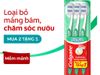  Bàn chải đánh răng COL Slimsoft Chăm sóc nướu FH S 3PK VN*24 bộ 