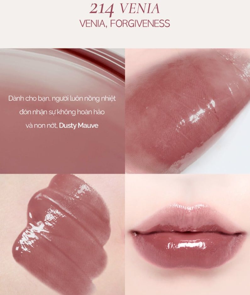 Son Tint Bóng Thuần Chay Dinto Blur Glowy Lip Tint