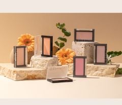 Phấn Má Hồng Dinto Blur Finish All That Moments Blusher