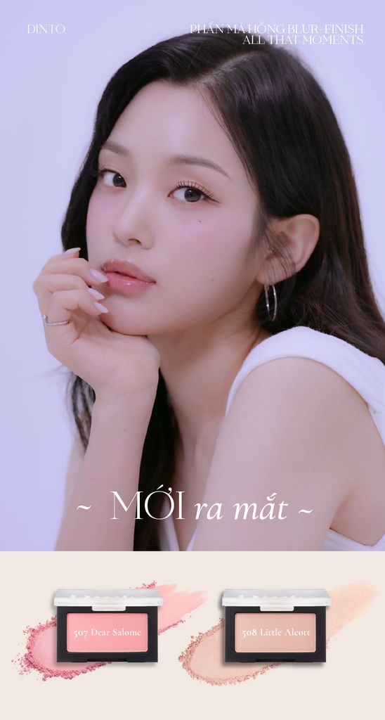 Phấn Má Hồng Dinto Blur Finish All That Moments Blusher