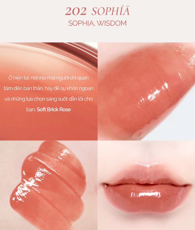 Son Tint Bóng Thuần Chay Dinto Blur Glowy Lip Tint