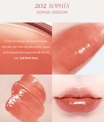 Son Tint Bóng Thuần Chay Dinto Blur Glowy Lip Tint