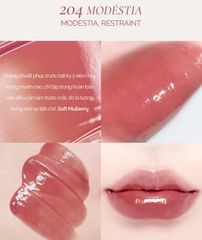 Son Tint Bóng Thuần Chay Dinto Blur Glowy Lip Tint