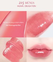 Son Tint Bóng Thuần Chay Dinto Blur Glowy Lip Tint