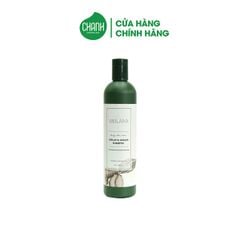 Dầu Gội Gừng Trắng Weilaiya Ginger 400ml
