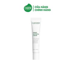 Kem dưỡng phục hồi da Caryophy Smart Waterful Cream 40ml
