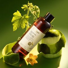 Nước tẩy trang bí đao cocoon chiết xuất từ bí đao vào tràm trà