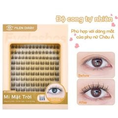 Mi giả Mlen Diary Mặt trời