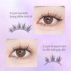 Lông Mi Giả Tách Sợi Hướng Dương Cho Mắt To Tự Nhiên Mlen Diary