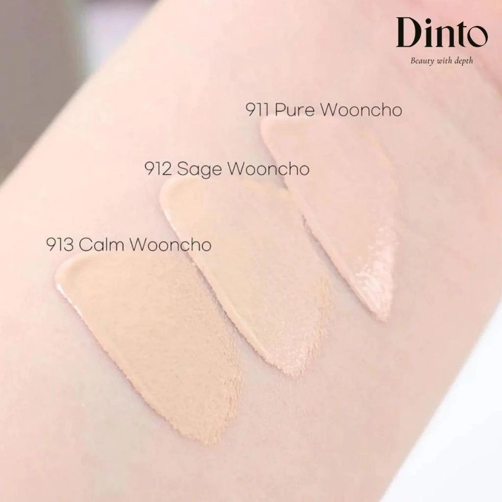 Che Khuyết Điểm Thuần Chay Dinto Wooncho Light-Veil